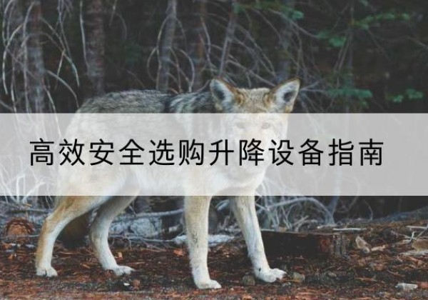宁都升降货梯厂家推荐-*安全选购升降设备指南