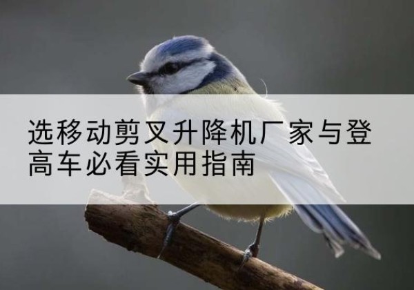 宁都电动升降机厂家-选移动剪叉升降机厂家与登高车必看实用指南