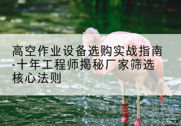 宁都剪叉式升降机厂家-高空作业设备选购实战指南-十年工程师揭秘厂家筛选核心法则
